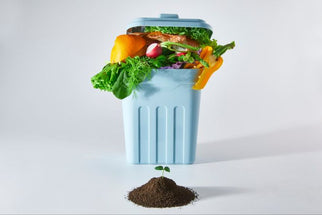 Dove finiscono i nostri rifiuti alimentari?