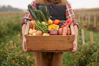 Come riconoscere un’azienda agricola etica: valori, pratiche, certificazioni