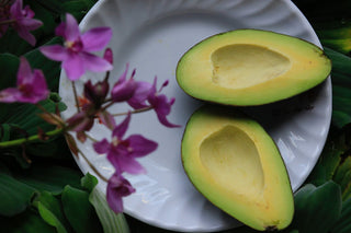 avocado-perché-mangiarlo 