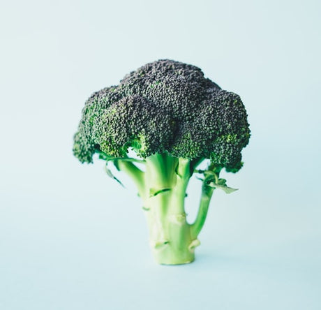 broccoli-bio-online 