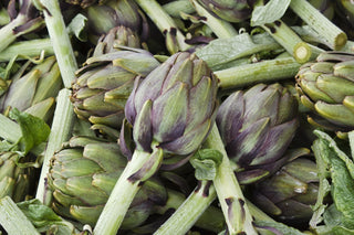 carciofi-bio-online
