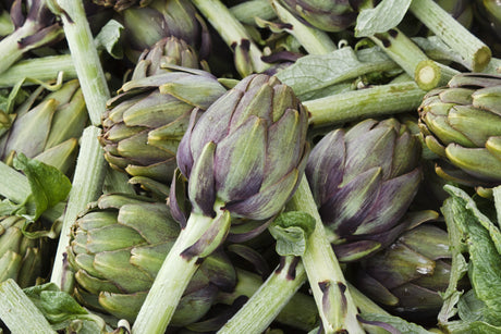 carciofi-bio-online
