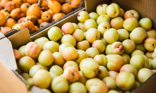 Come Scegliere le Susine e Riconoscere le Varietà