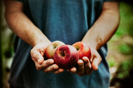 Differenza tra Frutta Biologica e Frutta Naturale