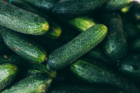 Cetriolo Proprietà e Benefici della Verdura Per la Salute