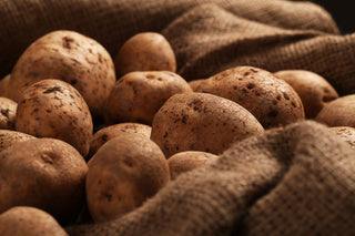 Ricette con Patate: 5 ricette facili e veloci fatte in casa