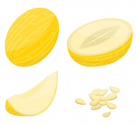 Calendario di Maturazione e Raccolta del Melone Giallo