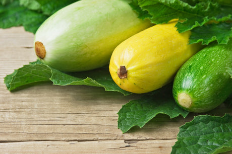 Come Scegliere le Zucchine e Riconoscere le Varietà