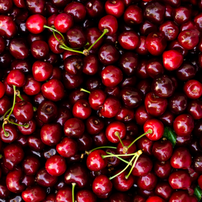 Ciliegie Bio