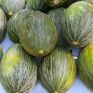 Meloni Verdi Bio
