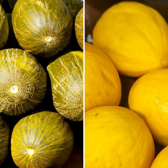 Cassetta Mista con Melone Giallo e Melone Verde Bio