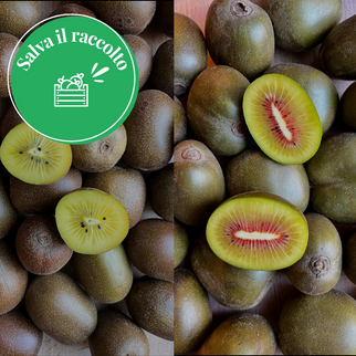 Kiwi Bio Salva il Raccolto