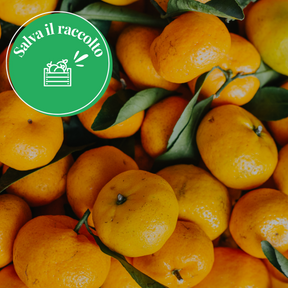 Mandarini Bio Salva il Raccolto