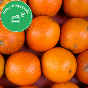 Organic Navel Oranges 