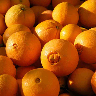 Arance Navel Bio