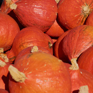 Cassetta Zucche Miste Bio Delica e Hokkaido