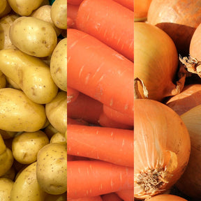 Cassetta "Le Basi" : Catote, Patate, Cipolle