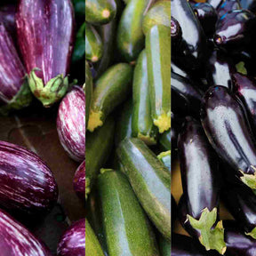 Melanzane e Zucchine Biologiche