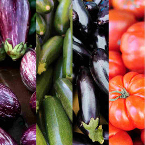 Melanzane, Zucchine e Pomodori Bio