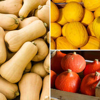 Cassetta Zucche Miste Bio Delica, Hokkaido e Butternut
