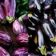 Melanzane Biologiche