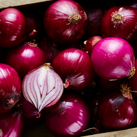 Organic Red Onion of Tropea PGI 