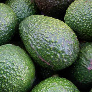 Avocado Hass Bio Siciliano