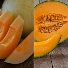 Cassetta Mista con Melone Retato e Liscio