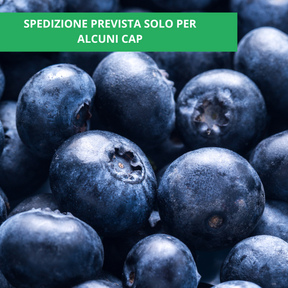 Mirtilli Biologici