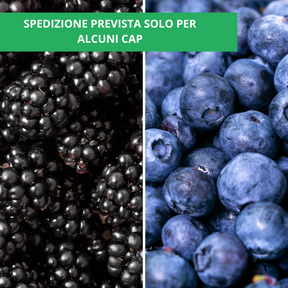 Cassetta Mista con More e Mirtilli Bio