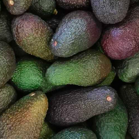 Organic Hass Avocado 