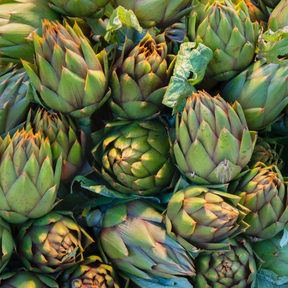 Carciofi Bio Sardi