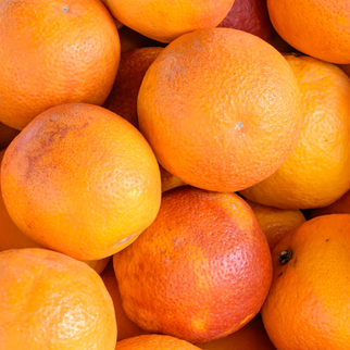 Organic Tarocco Oranges