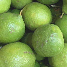 Limoni Verdelli BIO