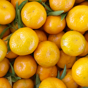 Organic 'Tardivo di Ciaculli' Tangerines