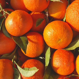 Organic Bitter Oranges for Jams