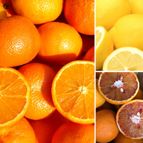 Cassetta Mista con Arance Bionde, Rosse e Limoni