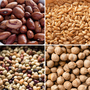 Crea la tua Cassetta con Cereali e Legumi BIO