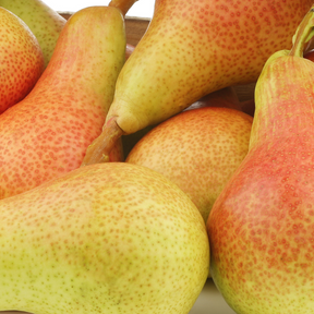 Pere Carmen Biologiche