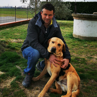 Farmer Luca Colombarini