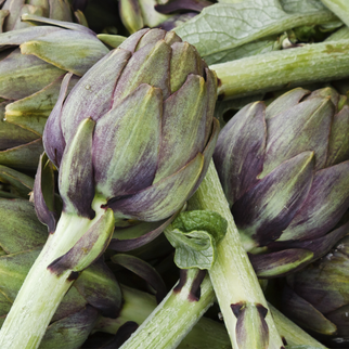 Carciofi Biologici Senza Spine