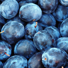 Susine Bio